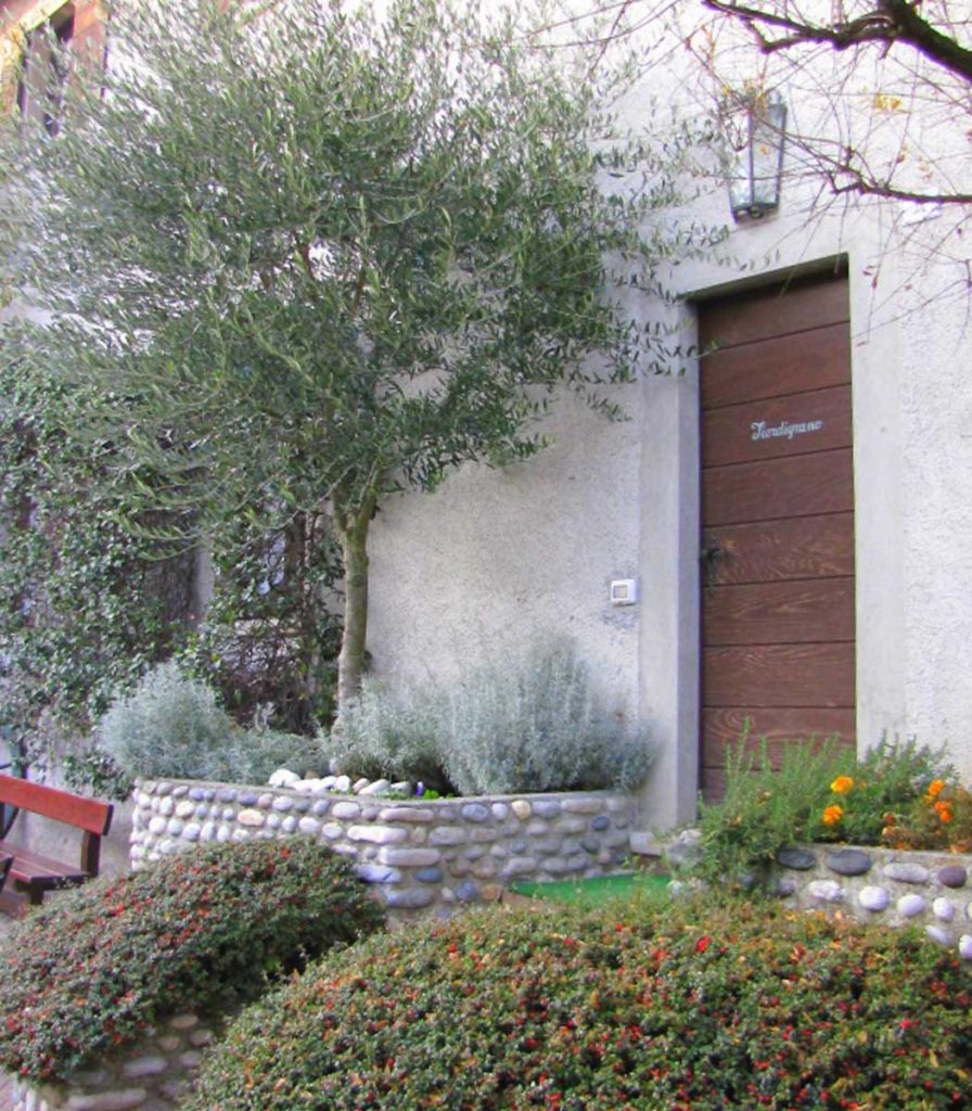 L'ingresso tra ulivi e fiori